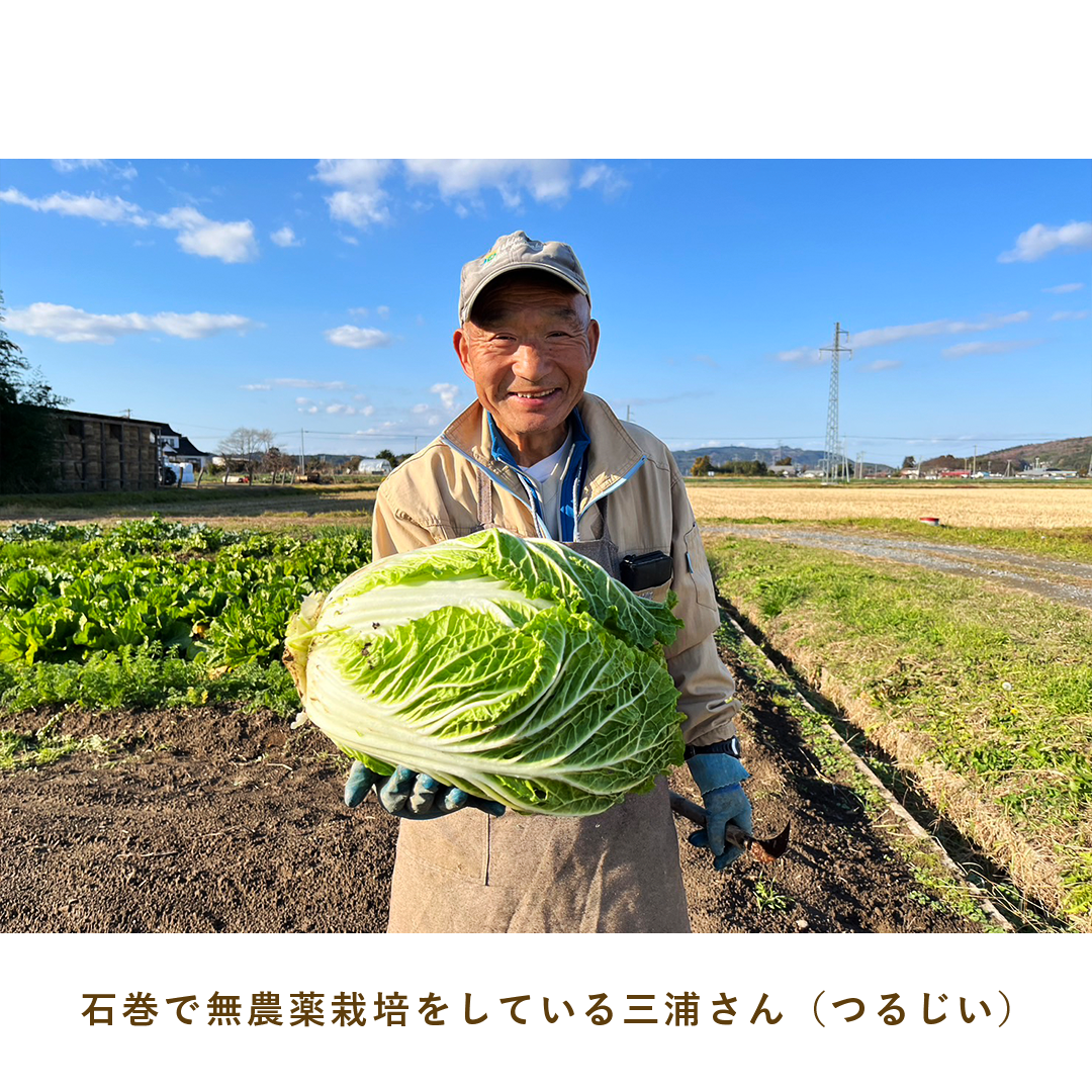 とうほくやさい便 1回だけのお試しセット - 4月発送