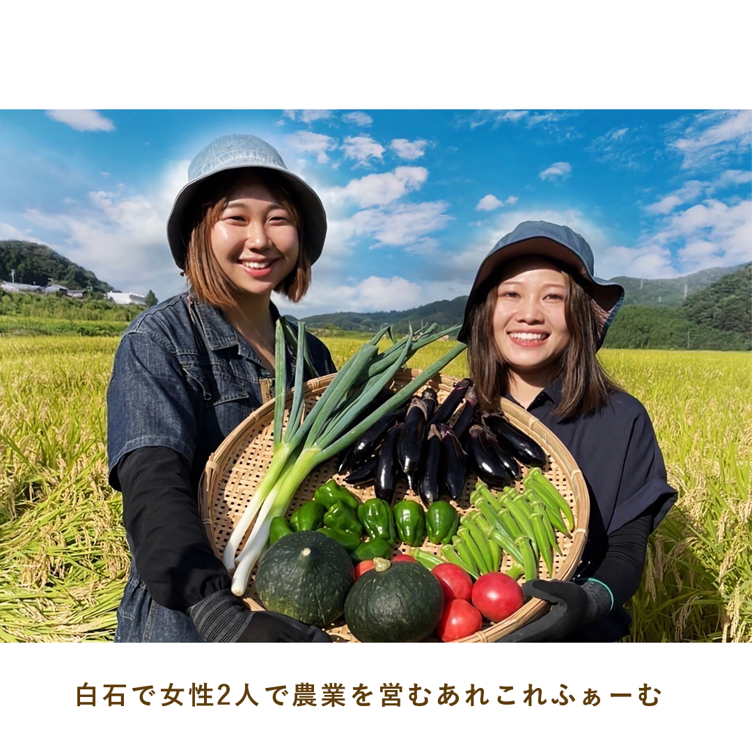 とうほくやさい便 1回だけのお試しセット - 4月発送