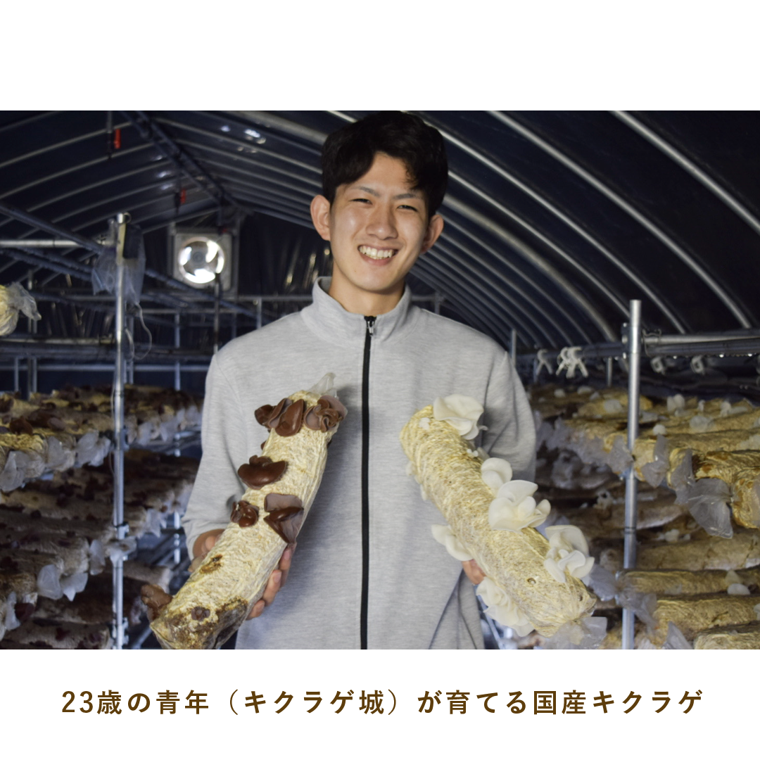 とうほくやさい便 1回だけのお試しセット - 4月発送