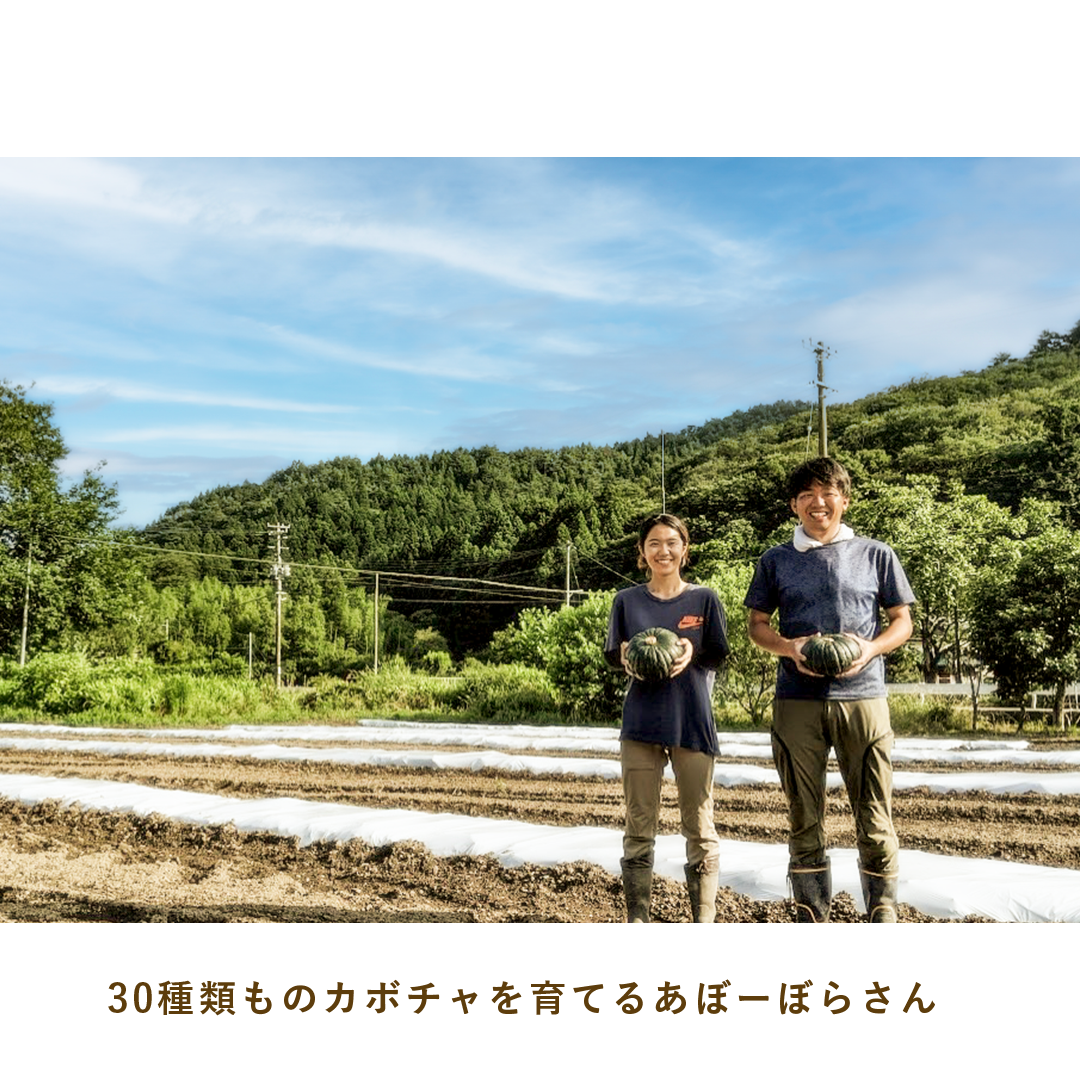 とうほくやさい便 1回だけのお試しセット - 4月発送