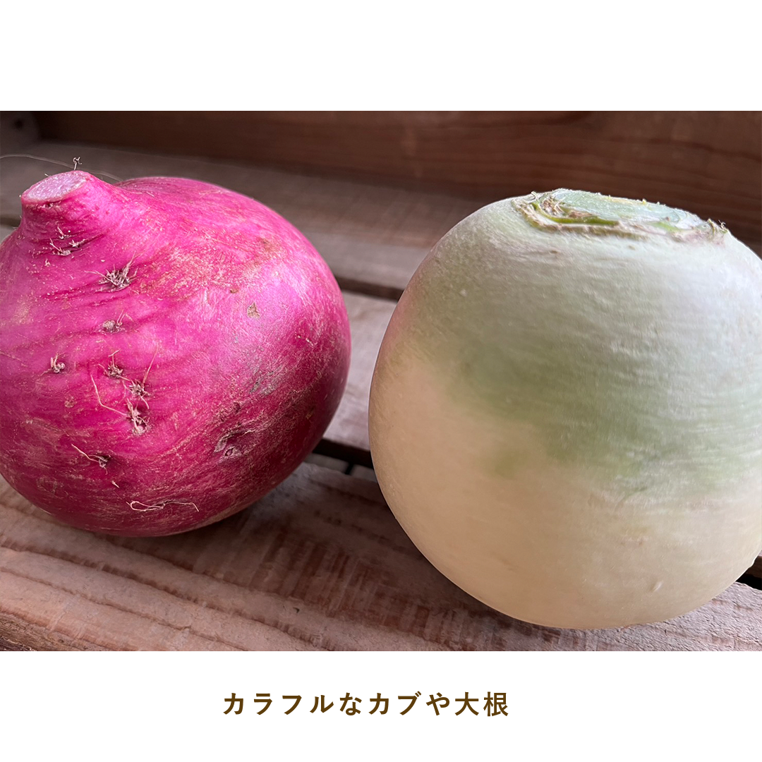 とうほくやさい便 1回だけのお試しセット - 4月発送
