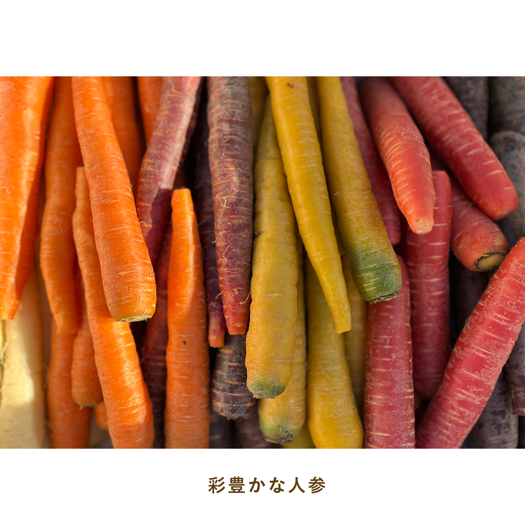 とうほくやさい便 1回だけのお試しセット - 4月発送