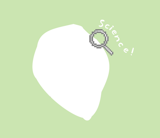 よむ月替わり通信　2025.12