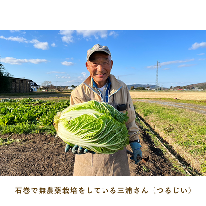 とうほくやさい便  1回だけのお試しセット - 8月発送便