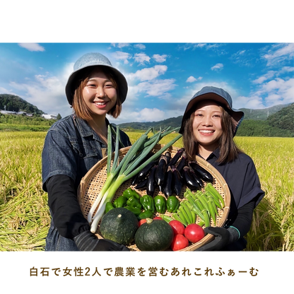 とうほくやさい便  1回だけのお試しセット - 8月発送便