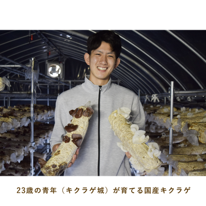 とうほくやさい便  1回だけのお試しセット - 8月発送便