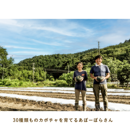 とうほくやさい便  1回だけのお試しセット - 8月発送便