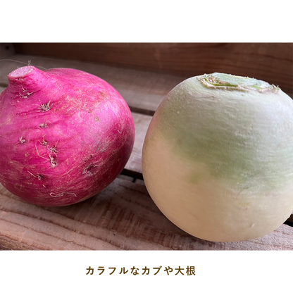 とうほくやさい便  1回だけのお試しセット - 8月発送便